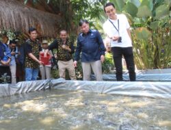 Kampung Mandiri Kedung Asem, Desa Berdaya yang Siap Menjadi Destinasi Wisata Menarik
