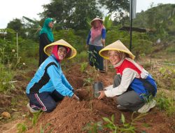 PGN Group Sabet 10 Penghargaan PROPER 2024: Bukti Nyata Komitmen Lingkungan