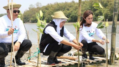 Jawa Timur Jadi Provinsi dengan Kawasan Mangrove Terluas di Pulau Jawa