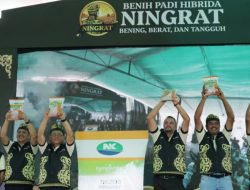 Syngenta Luncurkan Benih Padi Hibrida Ningrat (NK2133) Dukung Swasembada Beras.