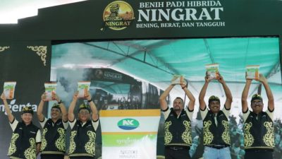 Syngenta Luncurkan Benih Padi Hibrida Ningrat (NK2133) Dukung Swasembada Beras.