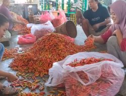 Harga Cabai Rawit di Kediri Naik, Pasokan Turun