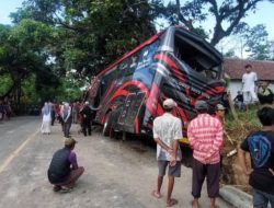 7 Jenazah Korban Kecelakaan Bus di Probolinggo Dimakamkan di Jember