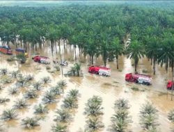 BNPB: Kerusakan Banjir dan Longsor di Sumatra Tembus Rp51,82 Triliun