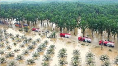 BNPB: Kerusakan Banjir dan Longsor di Sumatra Tembus Rp51,82 Triliun