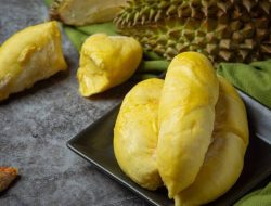 Durian Beku Indonesia Akhirnya Tembus Pasar Tiongkok, Ekspor Perdana 48 Ton Senilai Rp 5,1 Miliar Dilepas
