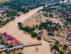 BNPB: Korban Tewas Bencana di Sumatra Bertambah Jadi 1.177 Orang