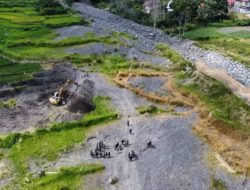 Pemkab Agam Terima Rp28,3 Miliar untuk Pemulihan Lahan Pertanian Pascabencana