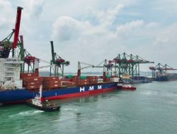 Jamin Kelancaran Logistik Lebaran, PT TTL Awali Februari dengan Pertumbuhan Arus Petikemas