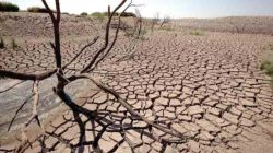 BMKG Ungkap Jadwal Kemarau 2026, Diprediksi Mulai Lebih Dini