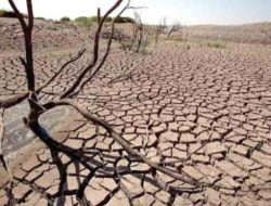 BMKG Ungkap Jadwal Kemarau 2026, Diprediksi Mulai Lebih Dini