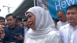 Khofifah Sebut Penjualan Hewan Kurban di Jatim Naik 30 Persen pada Iduladha 1447 H