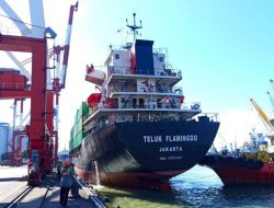 EAZI Percepat Layanan Kapal, TPK Nilam Bukukan 49.685 TEUs pada Mei 2026