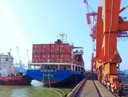 Layanan Internasional Meningkat, Terminal Teluk Lamong Bukukan 1,2 Juta TEUs
