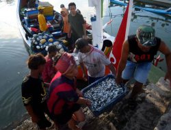 Banyuwangi Jadi Rujukan Delegasi ASEAN untuk Belajar Pengembangan Ekonomi Biru