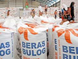 Tembus 3,5 Juta Ton, Pengadaan Beras BULOG Hampir Capai Target Nasional 2026