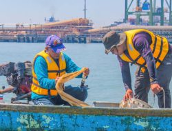 TTL Gandeng BRIN Petakan Biota Laut Teluk Lamong, Perkuat Pengelolaan Lingkungan Berbasis Sains