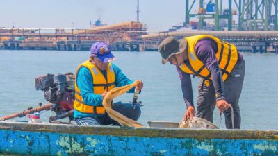 TTL Gandeng BRIN Petakan Biota Laut Teluk Lamong, Perkuat Pengelolaan Lingkungan Berbasis Sains