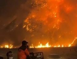 Gunung Bromo Ditutup Total, Kebakaran Kaldera Masih Berkobar