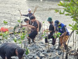 TPS Perluas Program Donasi Oksigen, 3.000 Bibit Mangrove Ditanam di Tambak Sarioso