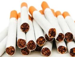 Aturan Kemasan Polos Rokok Belum Final, Pemerintah Kaji Dampak ke Industri dan Penerimaan Negara