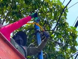 Langgar Perda, 116 Tiang Utilitas Ilegal Dibongkar Pemkot Surabaya